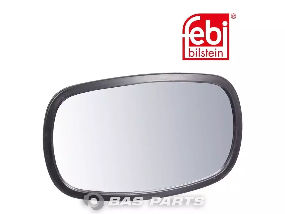 Specchio Laterale Extra Febi 296171