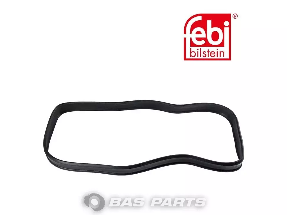 Goma sellante Febi 6205050086