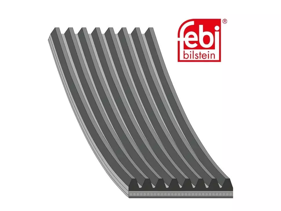 Correia multi V Febi 1 800 542