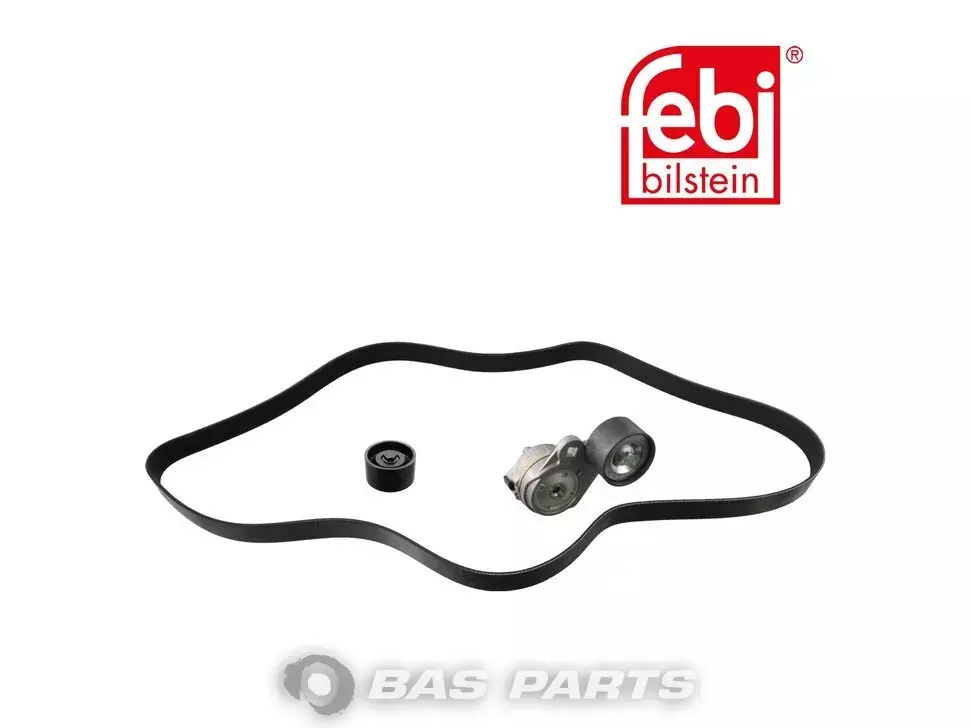 Cinghia multi V Febi 51958007480