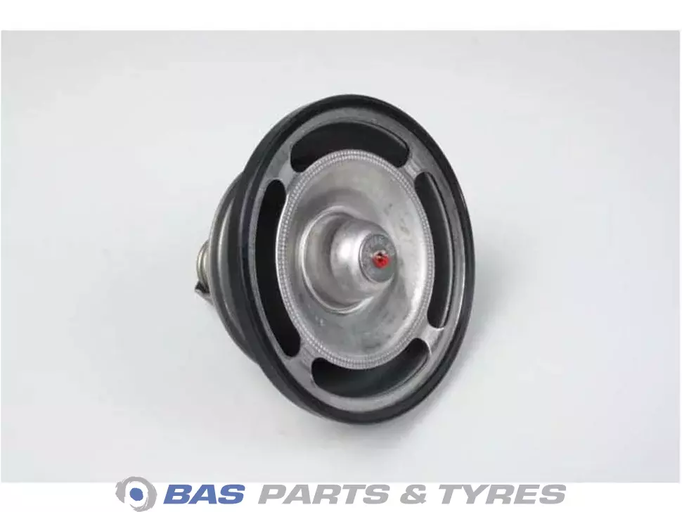 Termostat Swedish Lorry Parts 3183582