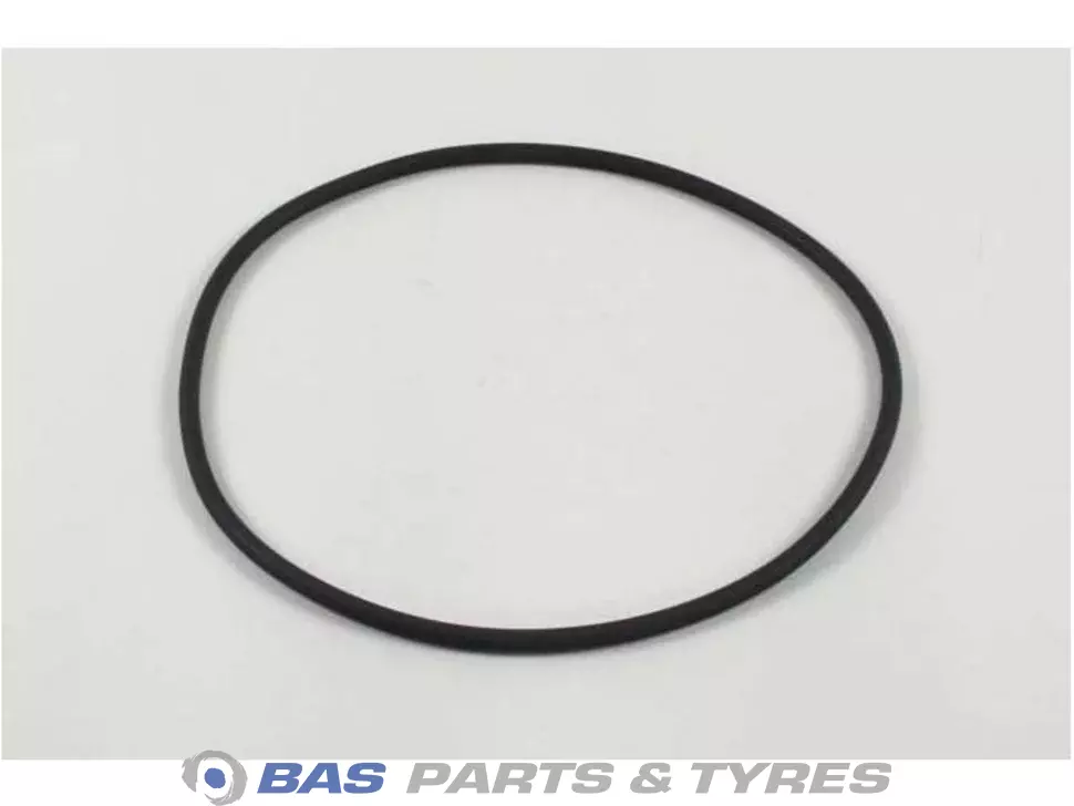 O-Ring 976073 976073