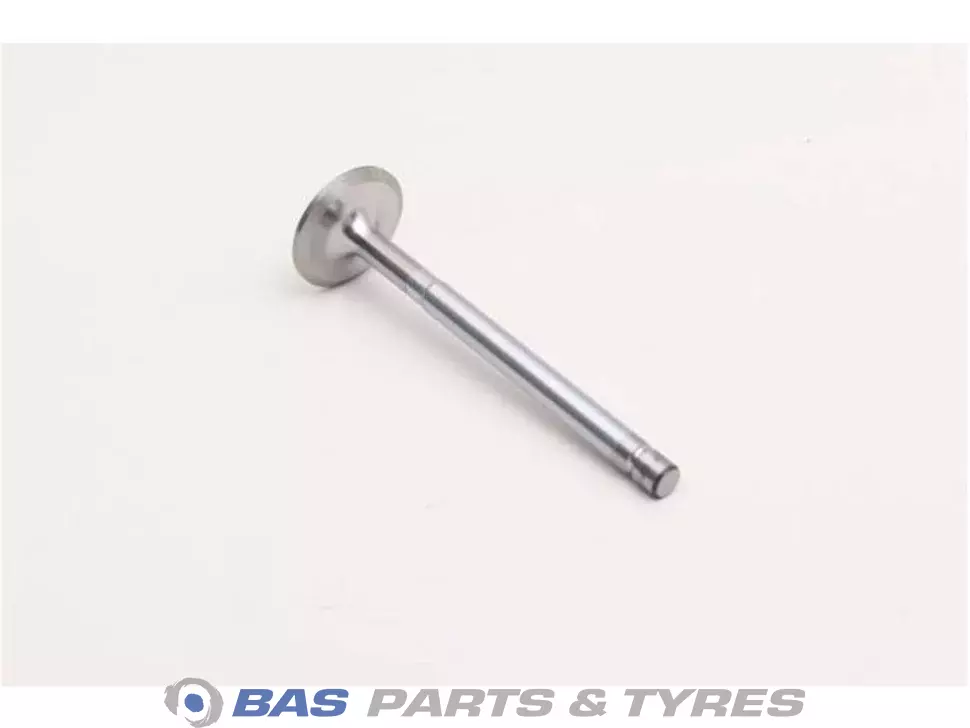 Einlassventil Swedish Lorry Parts 466379 Einlassventil Swedish Lorry Parts 466379