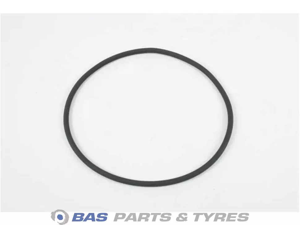 O-Ring 976068 976068