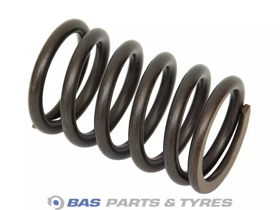 Valve spring 1543870 1543870 Valve spring 1543870 1543870