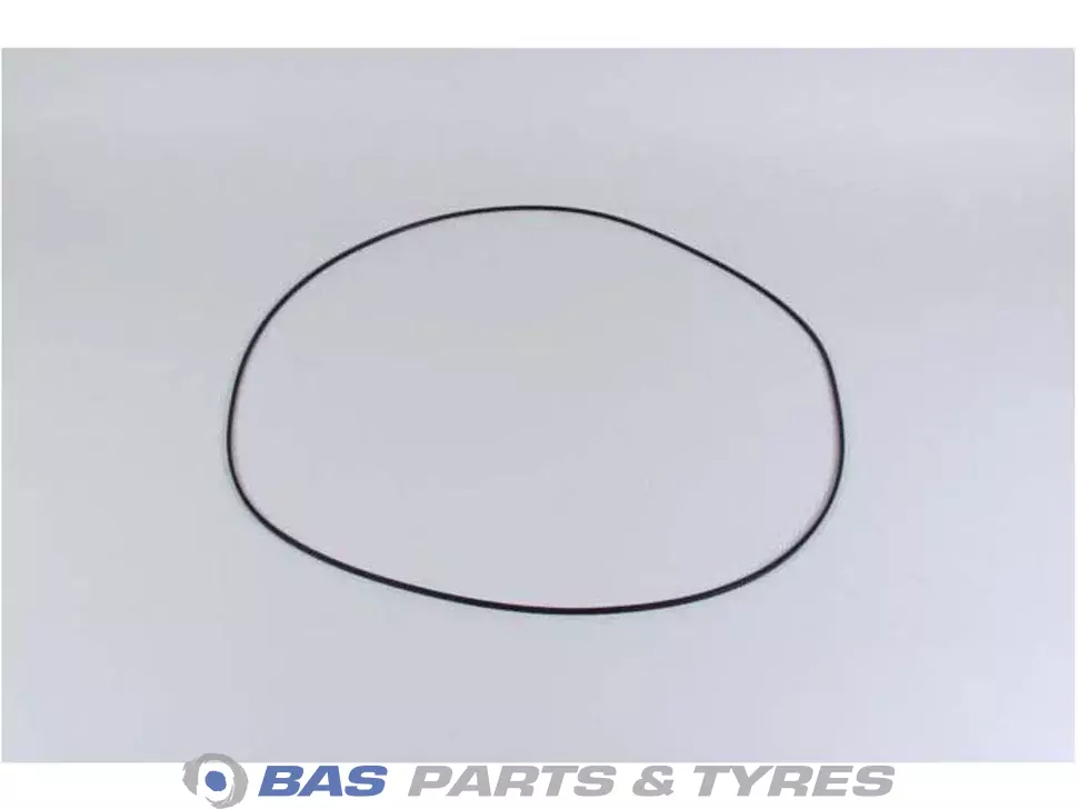 O-Ring 