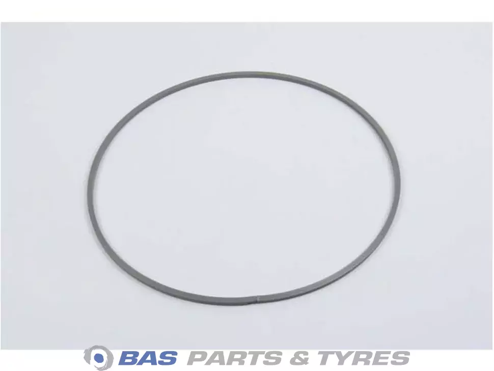 O-Ring Swedish Lorry Parts O-Ring Swedish Lorry Parts