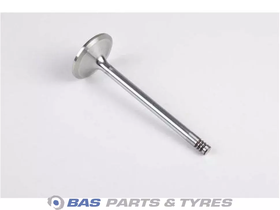 Intake valve 