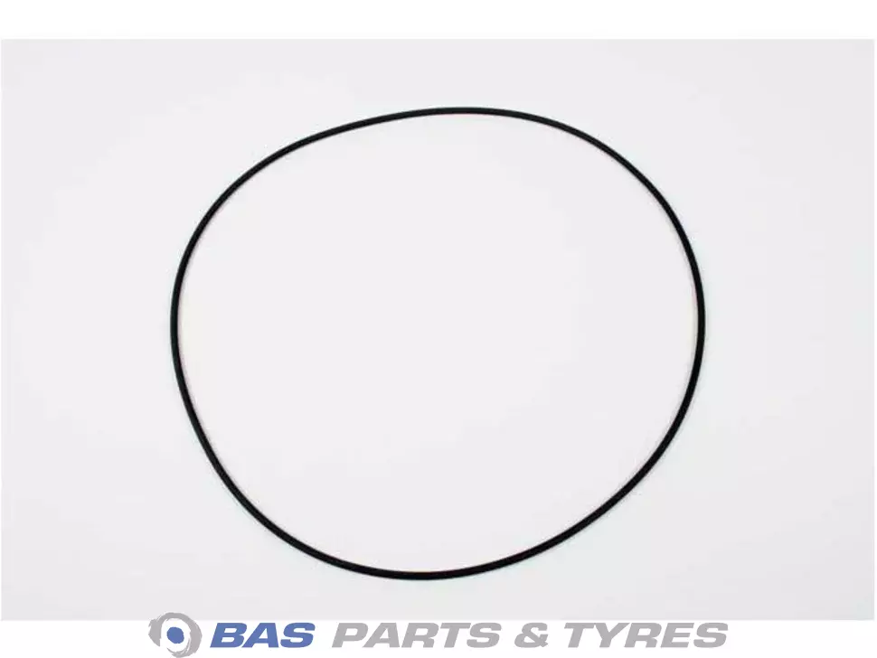 O-Ring 