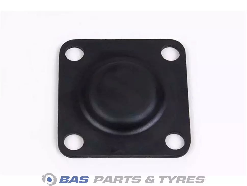 Diaphragm Diaphragm
