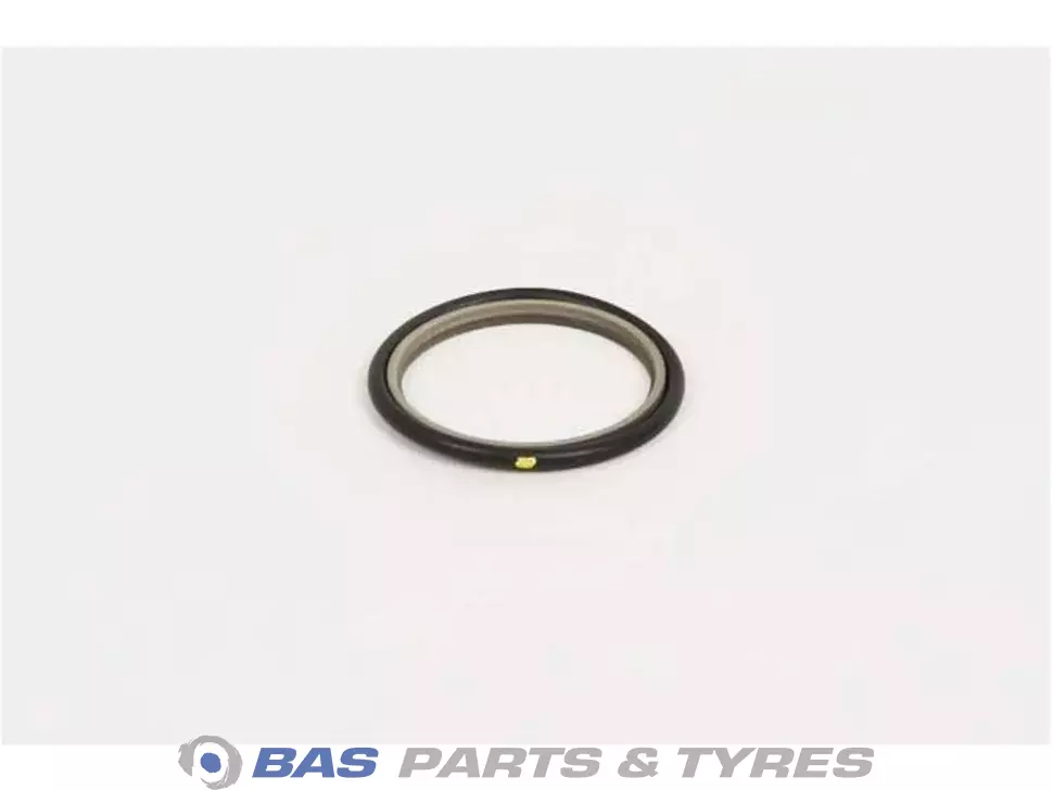 O-Ring 