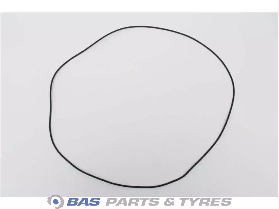 O-Ring 