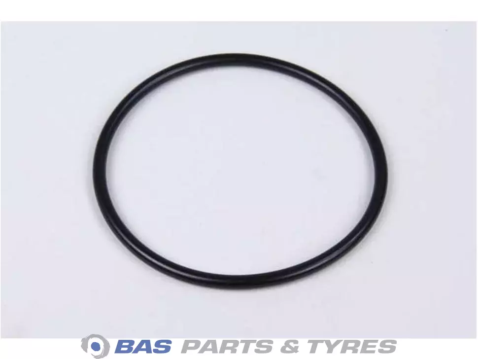 O-Ring 