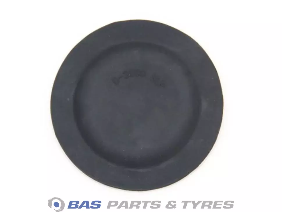 Diaphragm Diaphragm