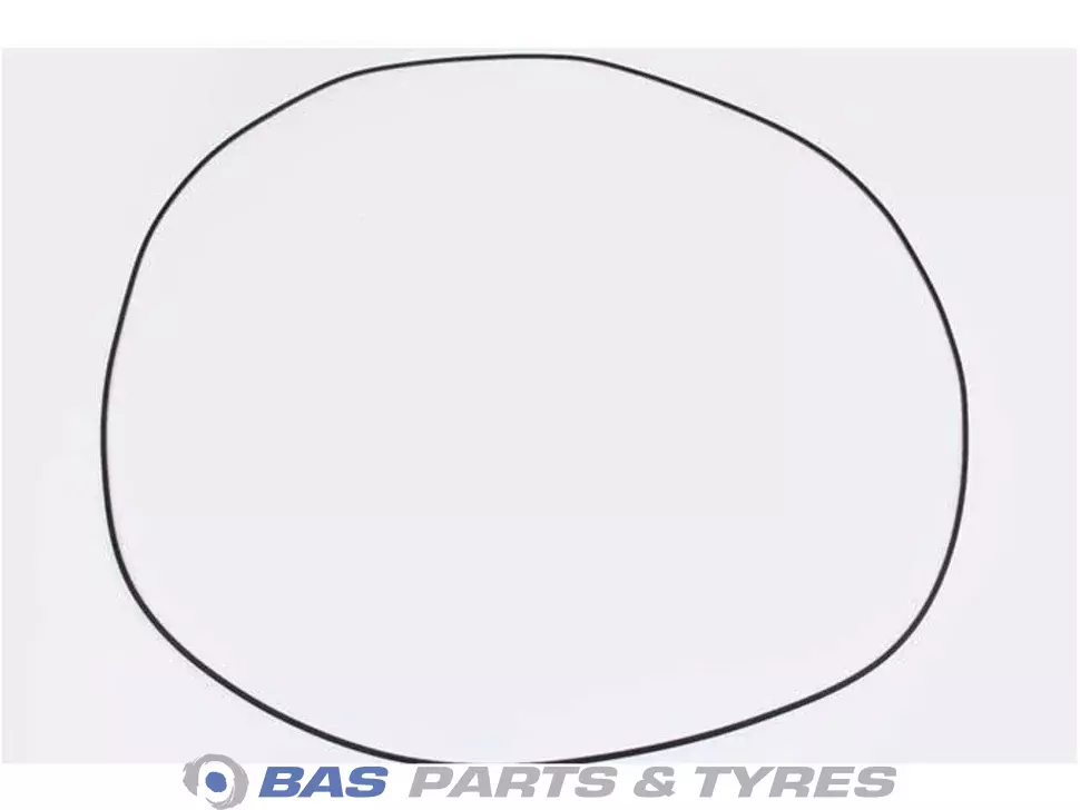 O-Ring 