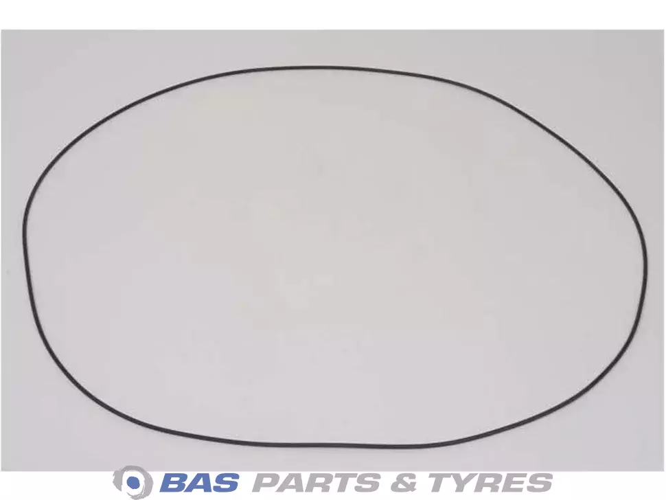 O-Ring 