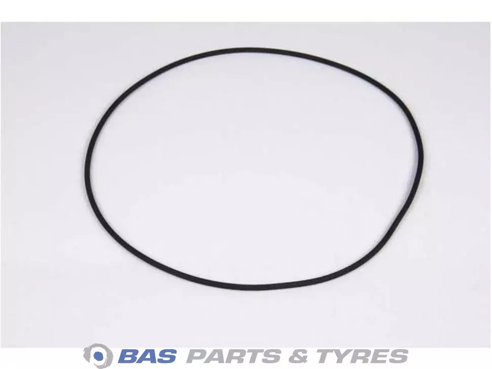 O-Ring 