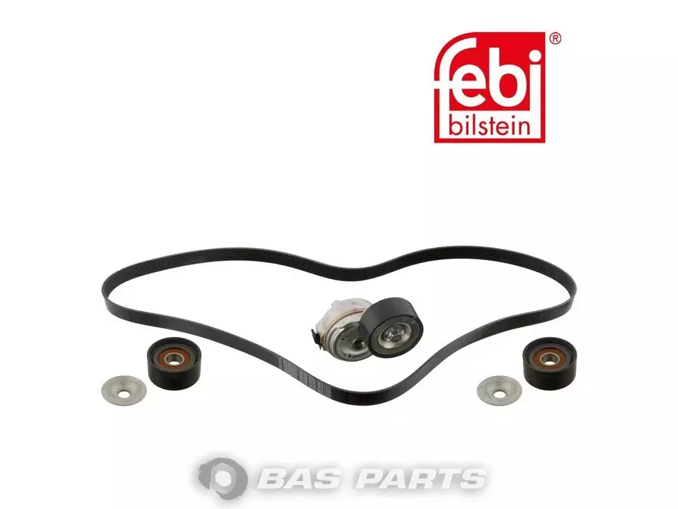 Cinghia multi V Febi 51968200345