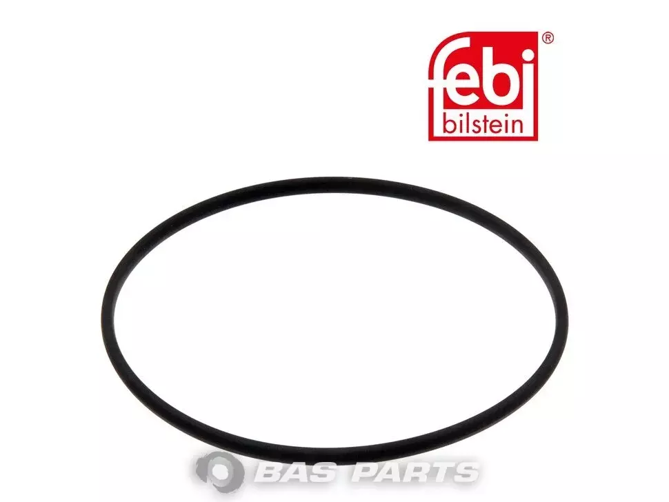 Dichtring Febi 5419971145