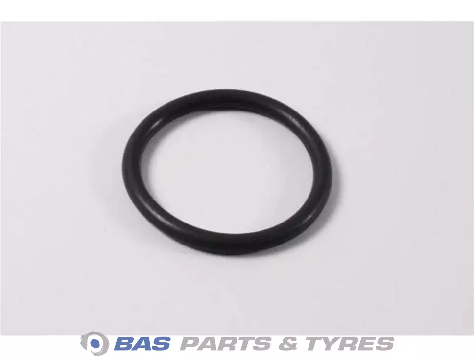 O-Ring O-Ring