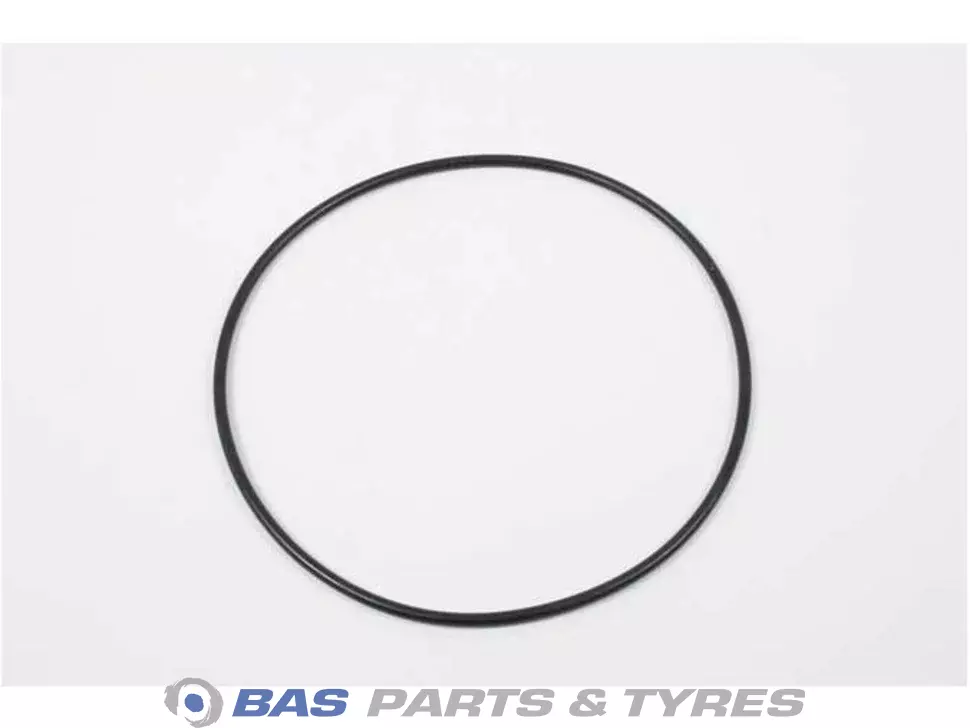 O-Ring 