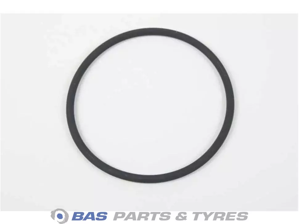 O-Ring 