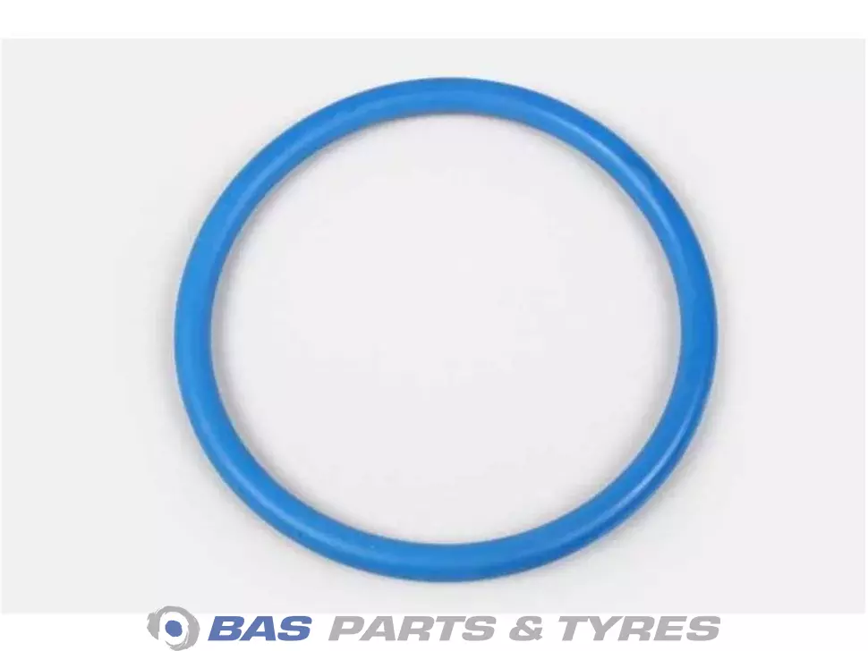 O-Ring 