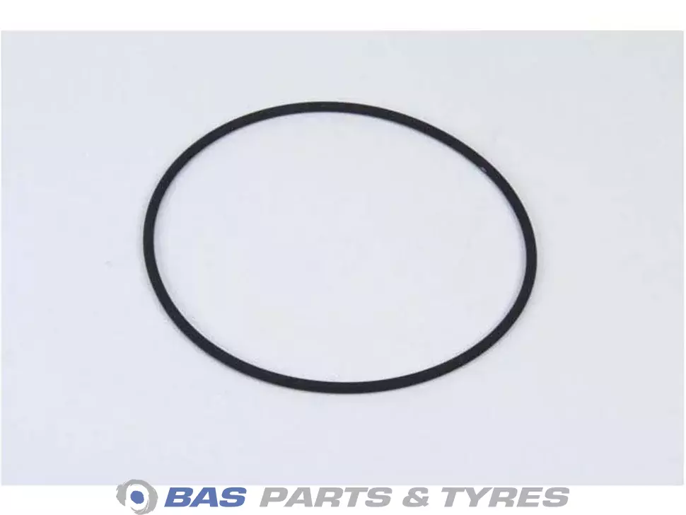 O-Ring 
