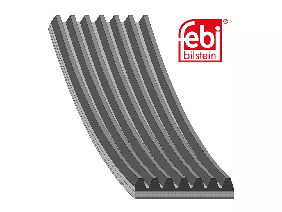 Cinghia multi V Febi Cinghia multi V Febi