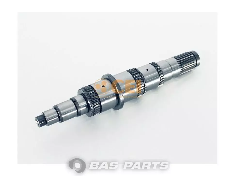 CEI Arbore principal 9302620305 CEI Arbore principal 9302620305
