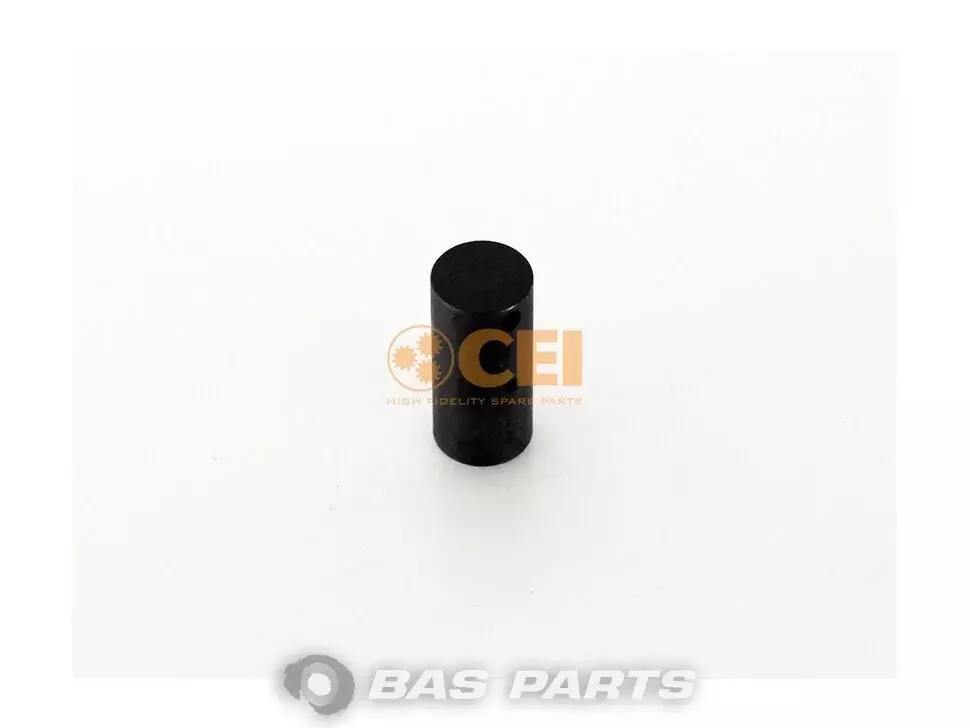 Pin chiulasă CEI 1828662