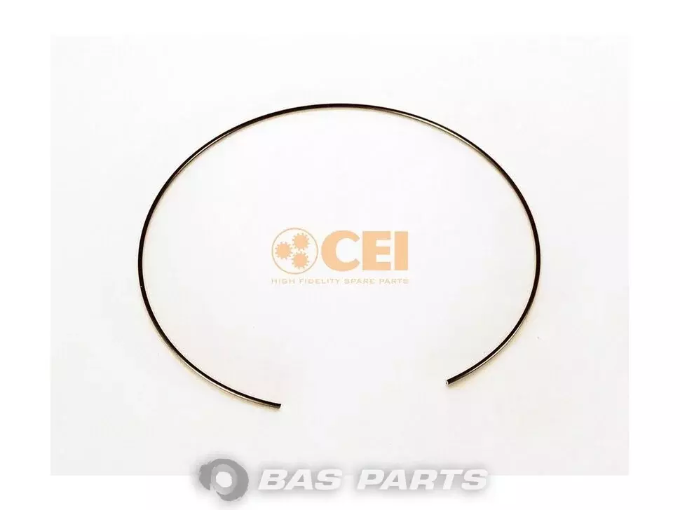 Ring CEI 3892620773 Ring CEI 3892620773