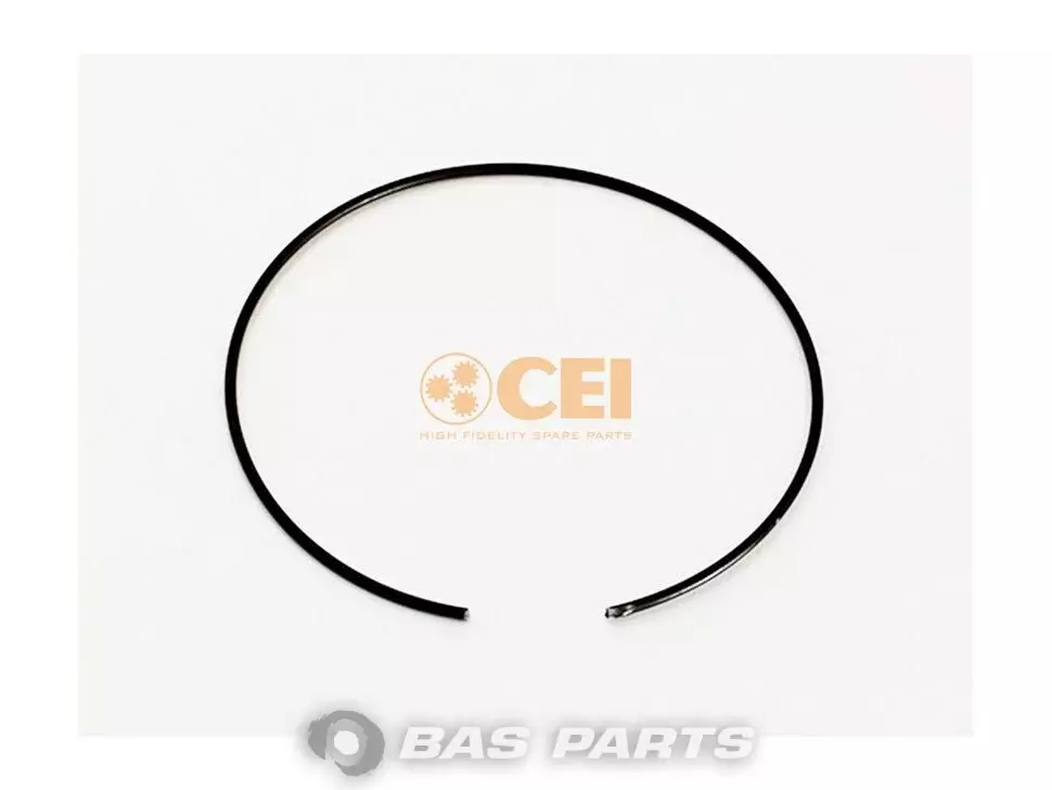 Anillo CEI 1730173
