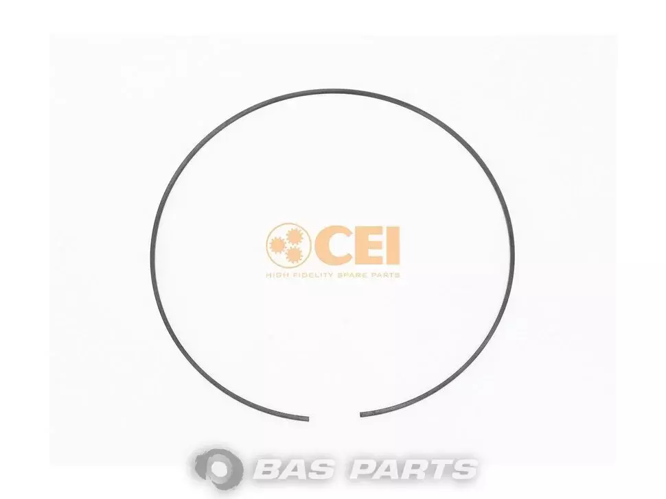 Retaining spring CEI 5001854007