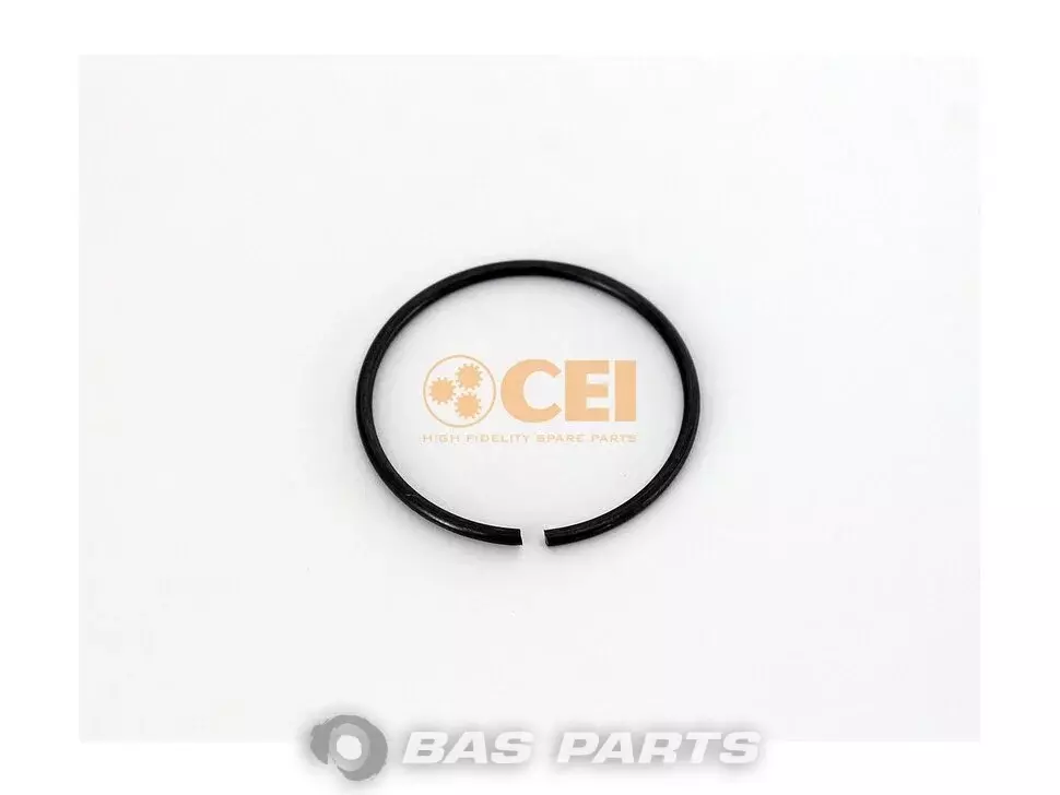 Borgring CEI 06291600125 Borgring CEI 06291600125