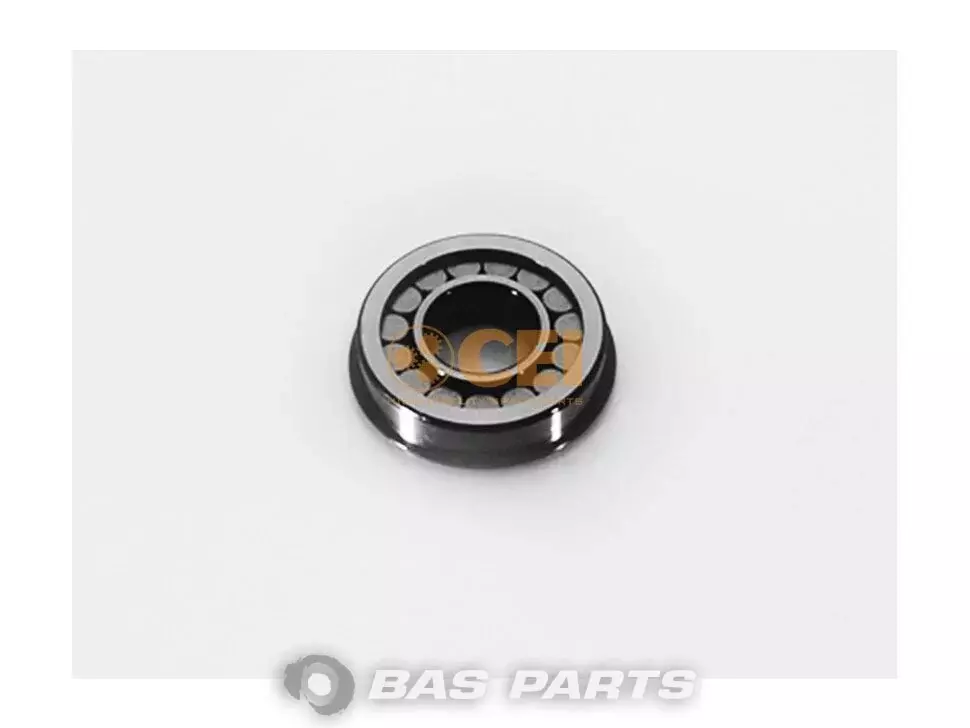 Cylindrical Roller Bearing CEI 0077059