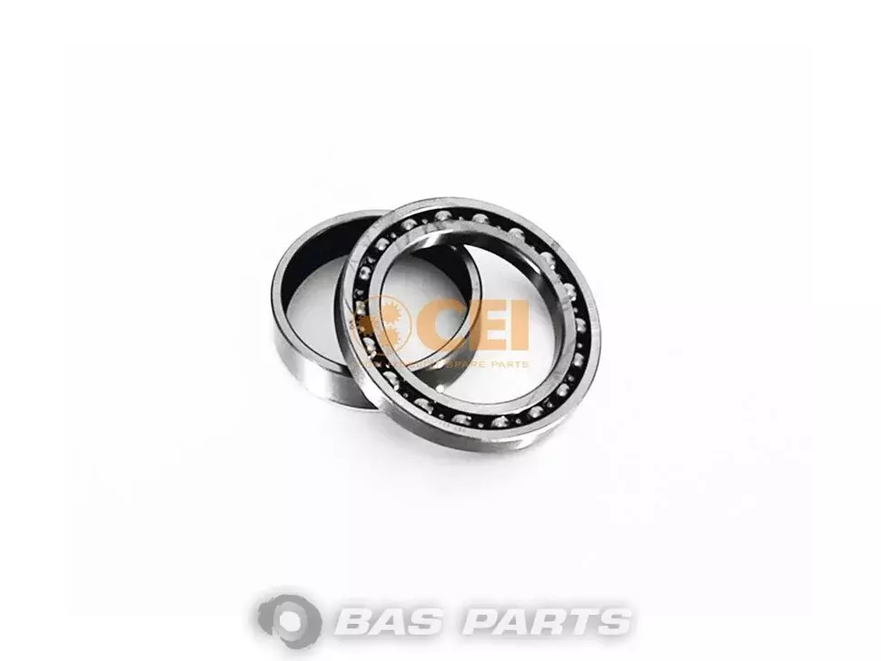 Lager CEI 0049818725 Lager CEI 0049818725