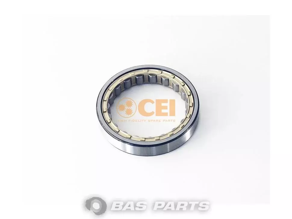 Roulement CEI 0079818201