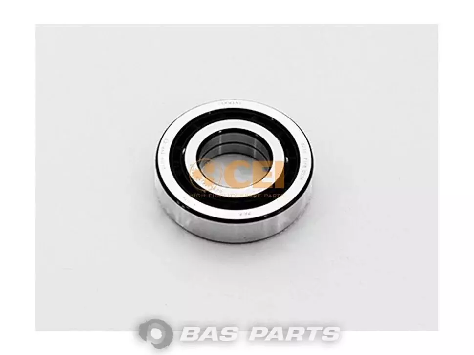 Bearing CEI 1905239