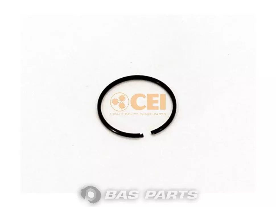 Ring CEI 1102279