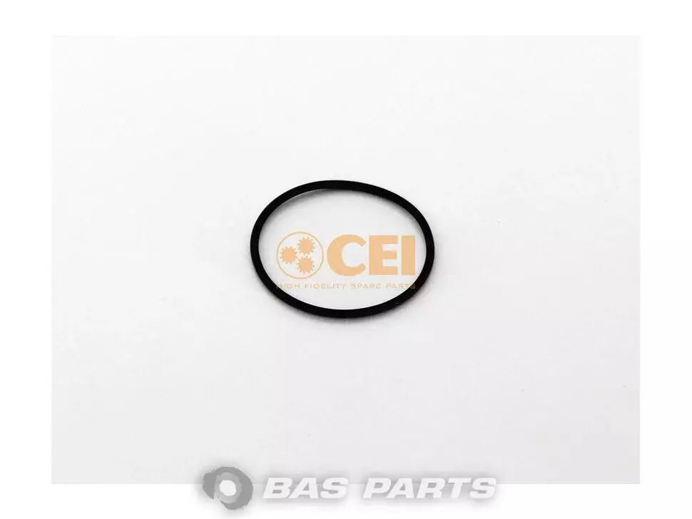 O-Ring CEI 5001853548