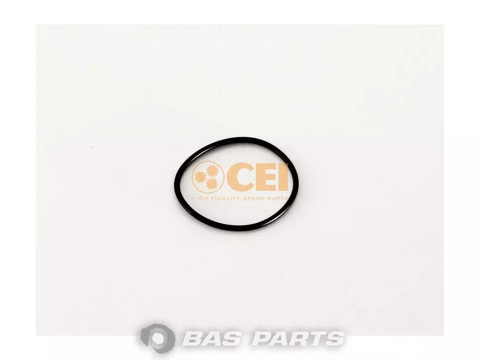 O-Ring CEI 0229974248