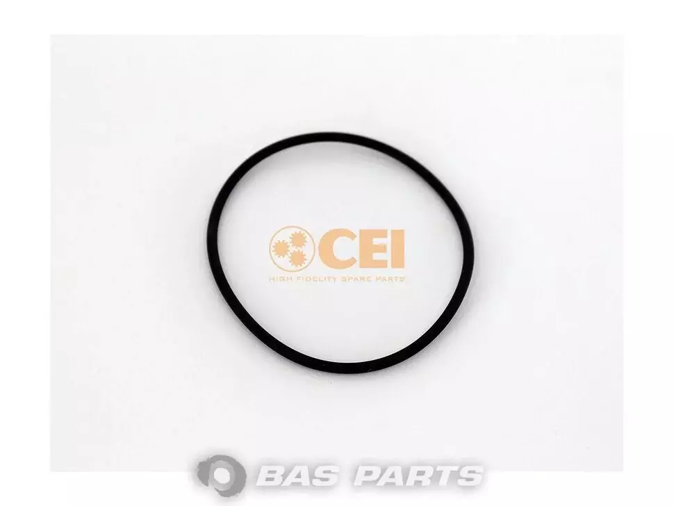 O-Ring CEI 0169976648