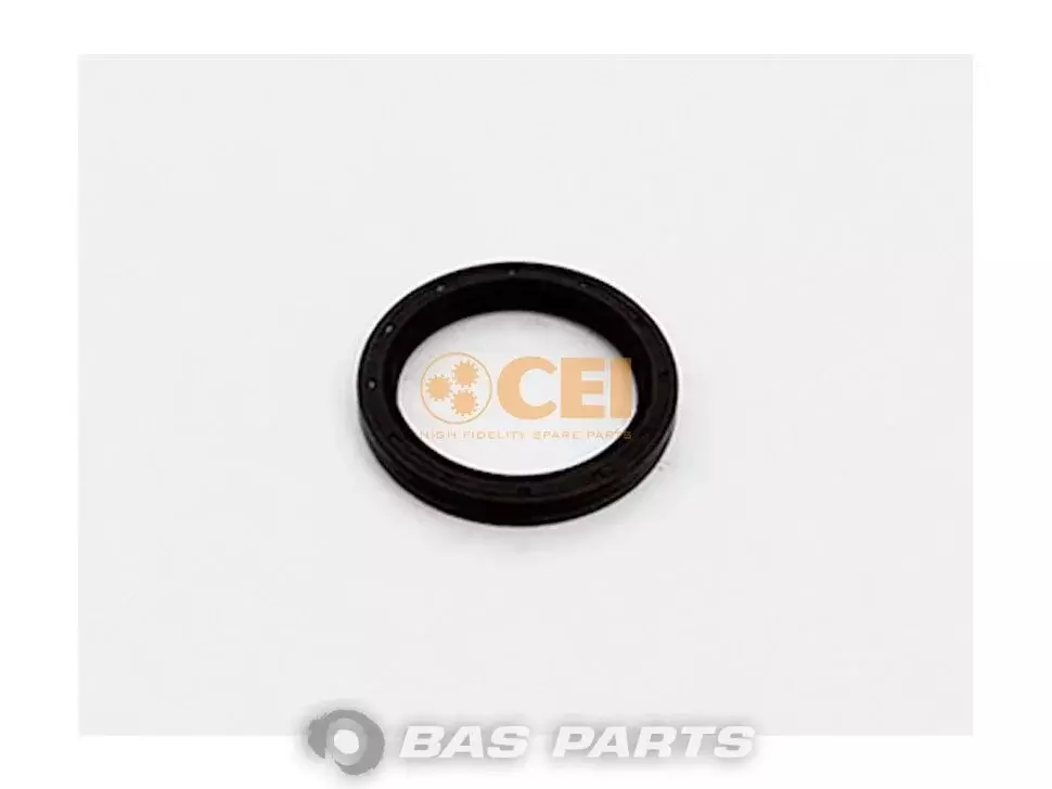Oil seal CEI 50 00 821 194