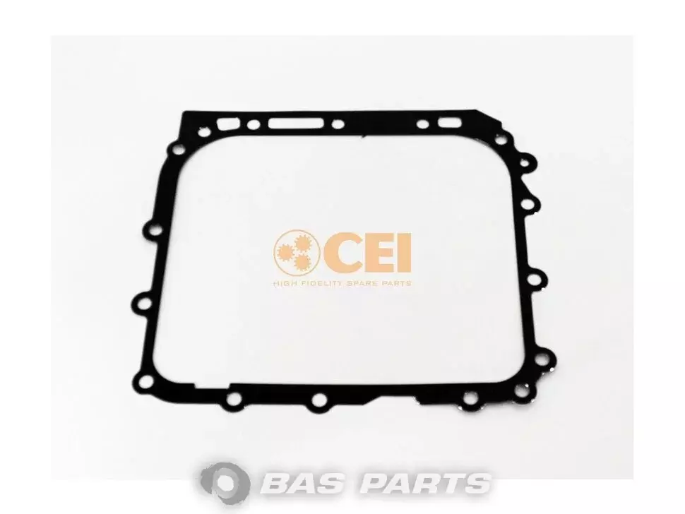 Dichtung CEI 8171137