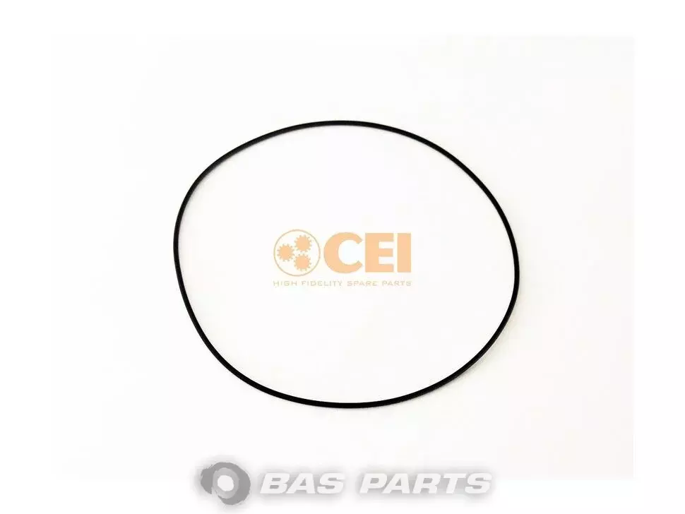 O-Ring CEI 0289978148