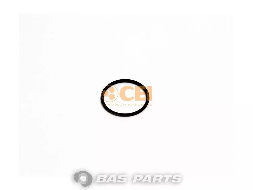 O-Ring CEI