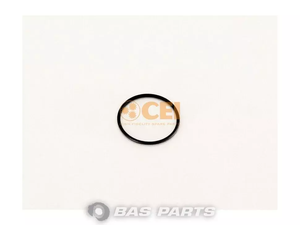 O-ring CEI 5003065128