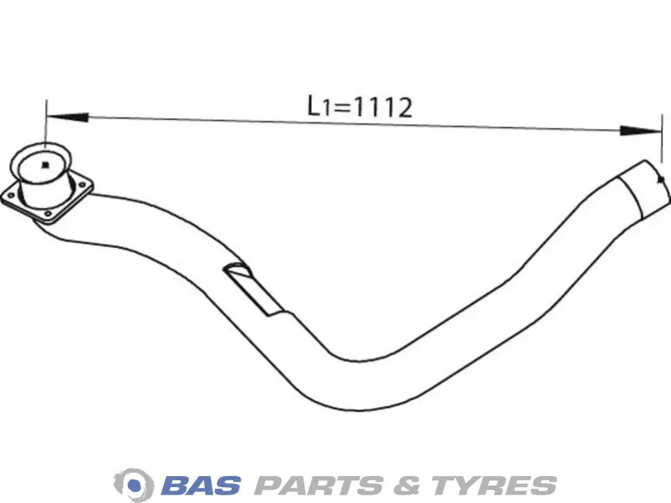 Tube Dinex 5010417196