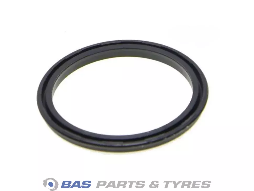 Garnitură piston Euroricambi 1669537